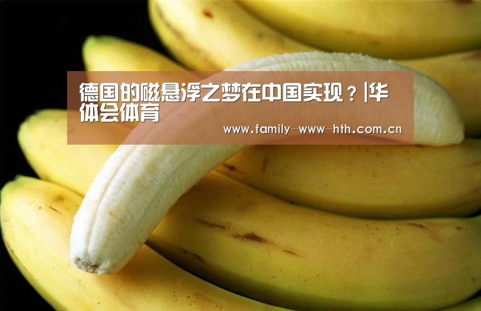 华体会体育