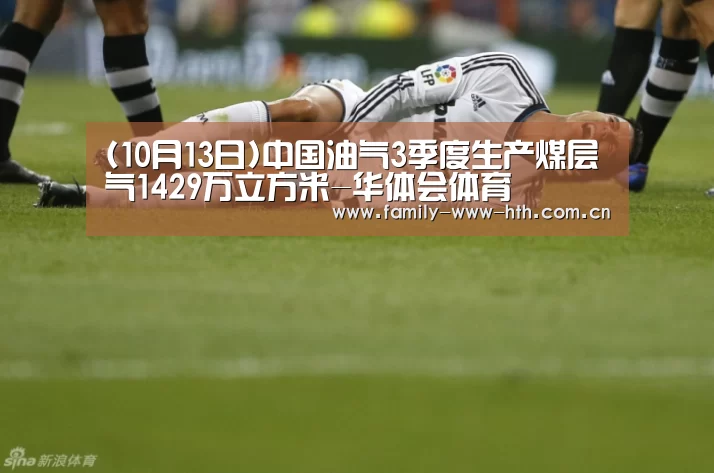 (10月13日)中国油气3季度生产煤层气1429万立方米-华体会体育(图2) 华体会体育