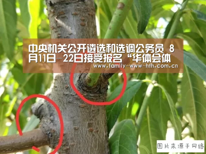 华体会体育