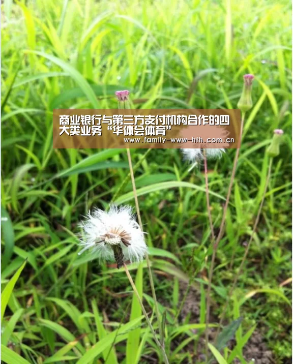 商业银行与第三方支付机构合作的四大类业务“华体会体育”(图4) 华体会体育