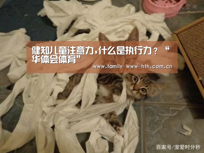 健知儿童注意力,什么是执行力?“华体会体育”(图1) 华体会体育