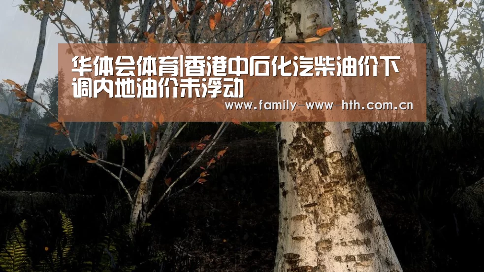 华体会体育