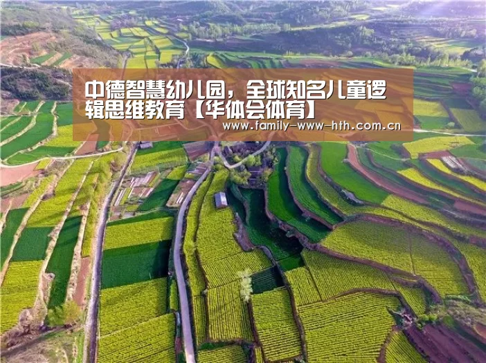 中德智慧幼儿园,全球知名儿童逻辑思维教育【华体会体育】(图3) 华体会体育
