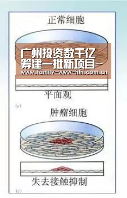 广州投资数千亿筹建一批新项目-华体会体育